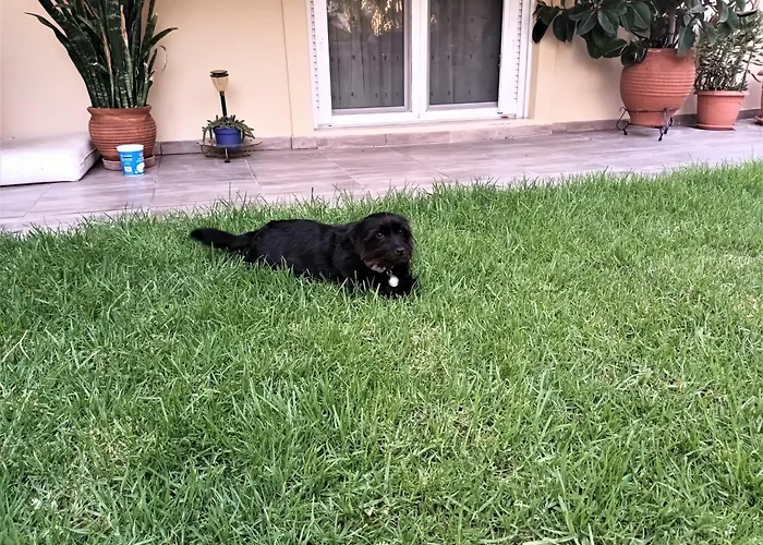 Family Yard House Διαμέρισμα